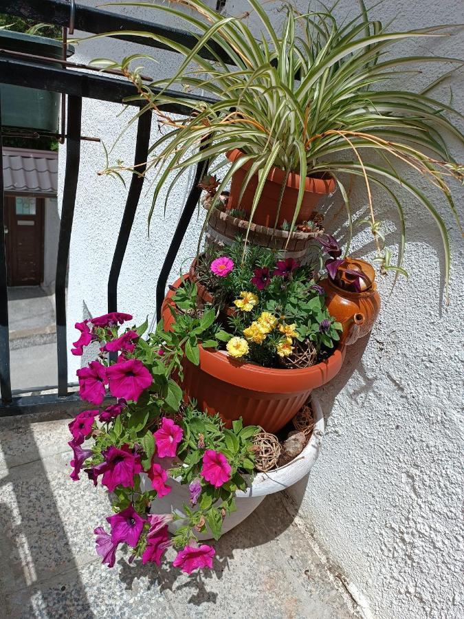 Apartman Ohren Saraievo Exterior foto